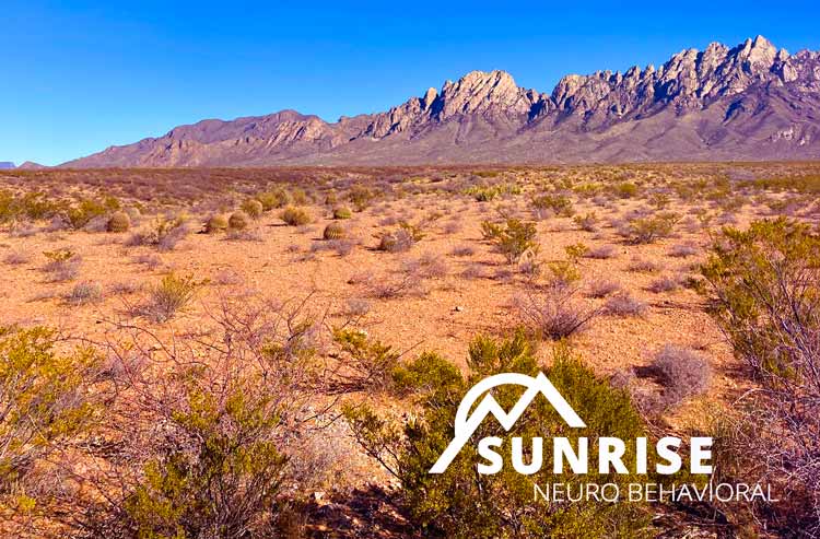 SUNRISE Neuro Behavioral LLC TMS Las Cruces